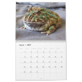 Blobbi Pacman Frog Calendar Kalender (Mar 2027)