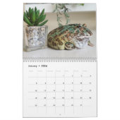 Blobbi Pacman Frog Calendar Kalender (Jan 2026)