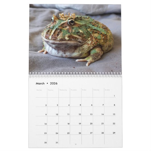 Blobbi Pacman Frog Calendar Kalender (Mar 2026)