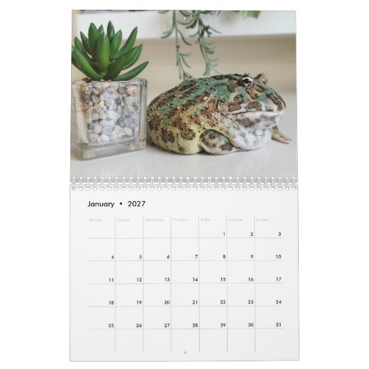 Blobbi Pacman Kikker Kalender (Jan 2027)