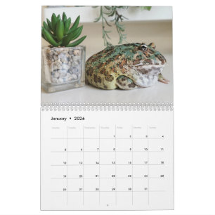 Blobbi Pacman Kikker Kalender