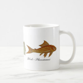 Bloch - mok Plecostomus