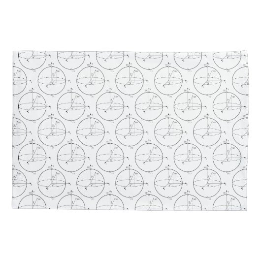 Bloch Sphere | Quantum Bit (Qubit) Natuurkunde/Wis Kussensloop (Achterkant-Links)