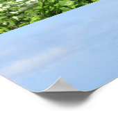 Block Island Pond 1 Poster (Hoek)