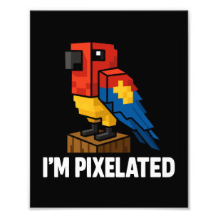 Blocky Oerwoud Parrot Pixelated Parrot Pixel Art Foto Afdruk