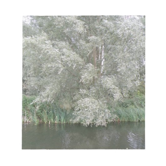 Blocnote met witte bomen en rivierlandschap (Voorkant)