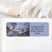 Bloe Jay Etiket (Insitu)