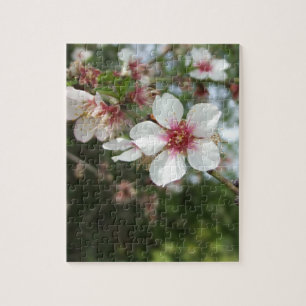 Bloed bloesem Puzzle Legpuzzel