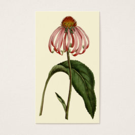 Bloed-blokprofiel Visitekaartjes