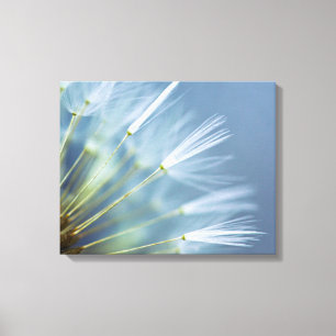 Bloed Dandelion Seed Head Canvas Afdruk