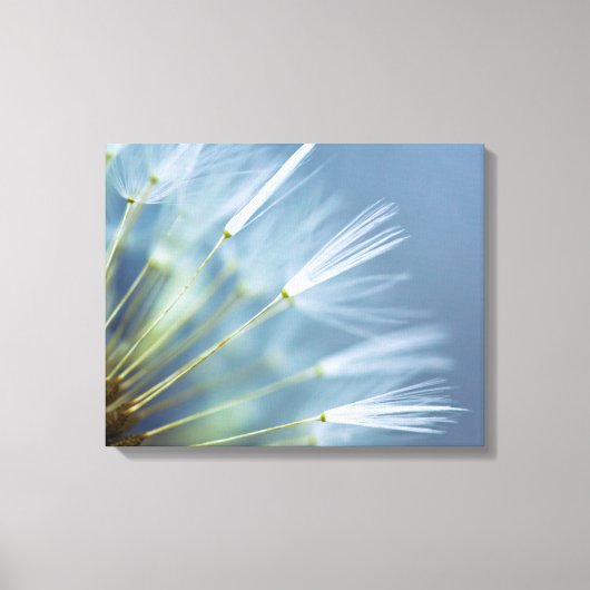 Bloed Dandelion Seed Head Canvas Afdruk (Voorkant)