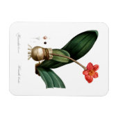  BLOED DRUKT LICHT FLEXIBEL FOTO MAGNET UIT MAGNEET (Horizontaal)