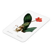  BLOED DRUKT LICHT FLEXIBEL FOTO MAGNET UIT MAGNEET (Linkerzijde)