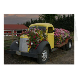 Bloed met ventilator