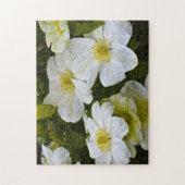 Bloed Puzzle Legpuzzel (Verticaal)