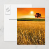 Bloed-rode zonnebank briefkaart (Voorkant / Achterkant)
