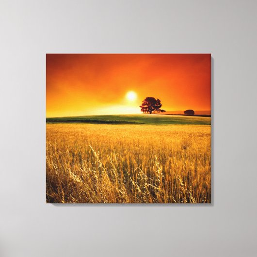 Bloed-rode zonnebank canvas afdruk (Voorkant)