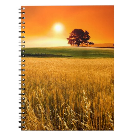 Bloed-rode zonnebank notitieboek (Voorkant)