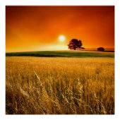 Bloed-rode zonnebank poster (Voorkant)