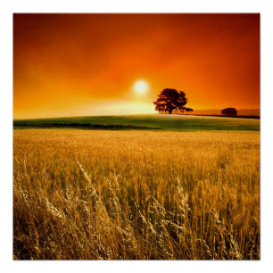 Bloed-rode zonnebank poster