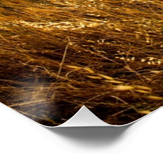 Bloed-rode zonnebank poster (Hoek)