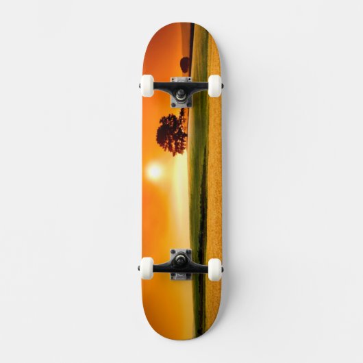 Bloed-rode zonnebank skateboard (Voorkant)