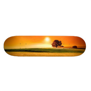 Bloed-rode zonnebank skateboard