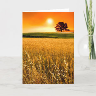 Bloed-rode Zonsondergang Kaart