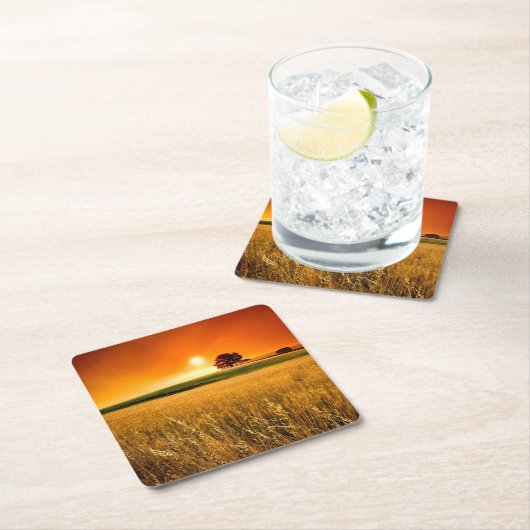 Bloed-rode Zonsondergang Kartonnen Onderzetters (Insitu)