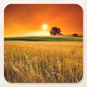 Bloed-rode Zonsondergang Kartonnen Onderzetters