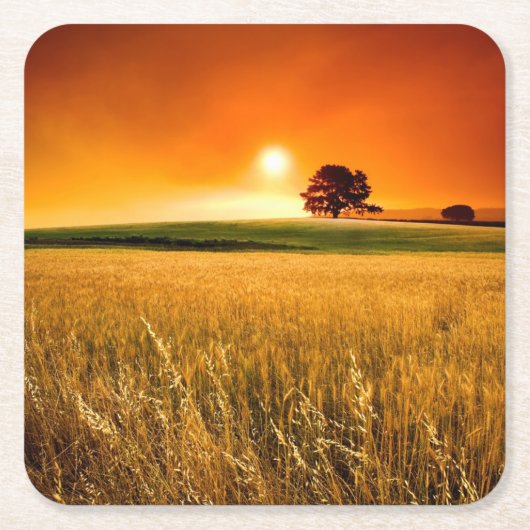 Bloed-rode Zonsondergang Kartonnen Onderzetters (Voorkant)