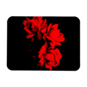 Bloed rozen in het donker magneet (Horizontaal)