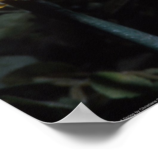 Bloed thee en rode string Happy Sunflower Print (Hoek)