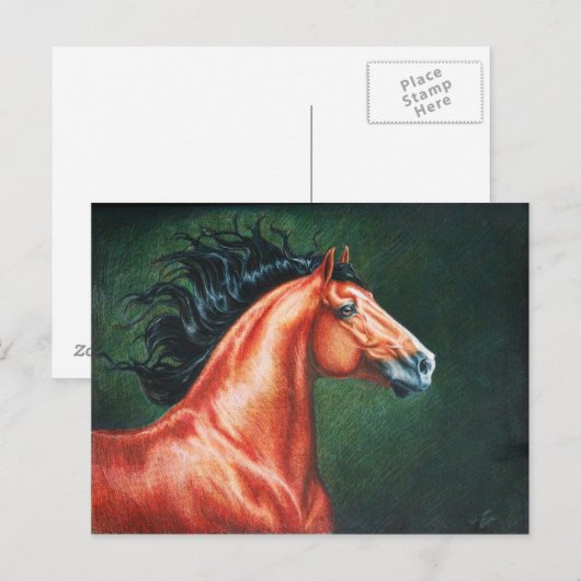 Bloedbaai Lusitano Stallion Briefkaart (Voorkant / Achterkant)