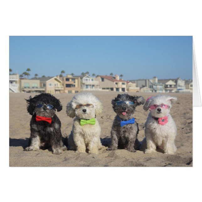 Bloedbad (Voorkant Horizontaal)