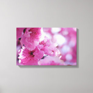 Bloedbad Blossom Canvas Afdruk