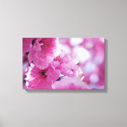 Bloedbad Blossom Canvas Afdruk (Voorkant)