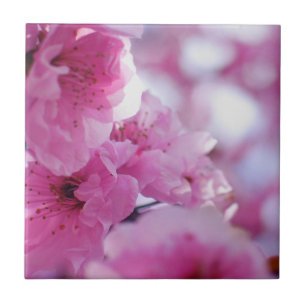 Bloedbad Blossom Tegeltje