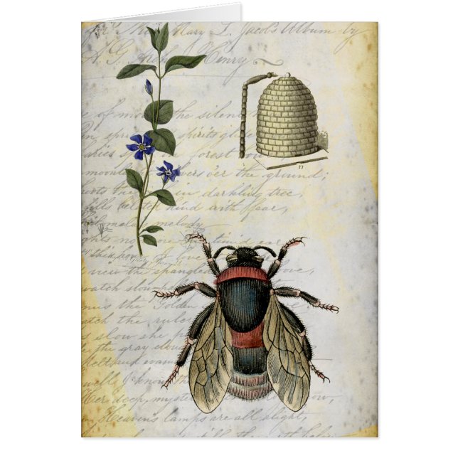 Bloedbijenkast (Voorkant)