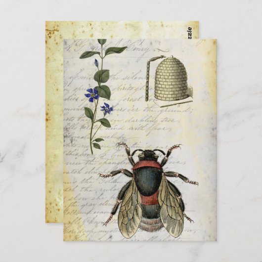 Bloedbijenkast Briefkaart (Voorkant / Achterkant)