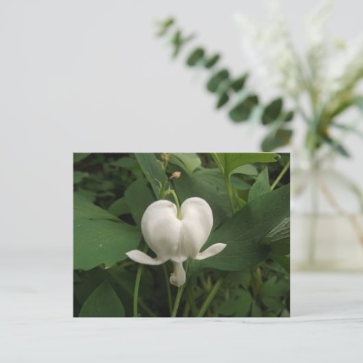 Bloedbloem Briefkaart (Staand voorkant)