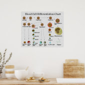 Bloedceldifferentiatieschema Poster (Keuken)