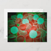 Bloedcellen met rode bloedcellen briefkaart (Voorkant / Achterkant)