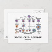 Bloedcellijn (Biologie Gezondheidsgeneeskunde) Briefkaart (Voorkant / Achterkant)