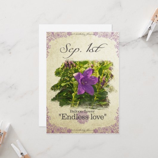 Bloeddagbloemen op 1 september "ballonbloem" kaart (Voorkant / Achterkant in situ)