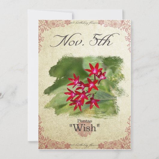 Bloeddagbloemen op 5 november "Pentas" Kaart (Voorkant)