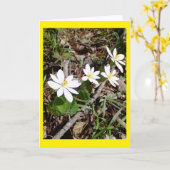 Bloeddeur Blanco-briefkaart Kaart (Gele Bloem)