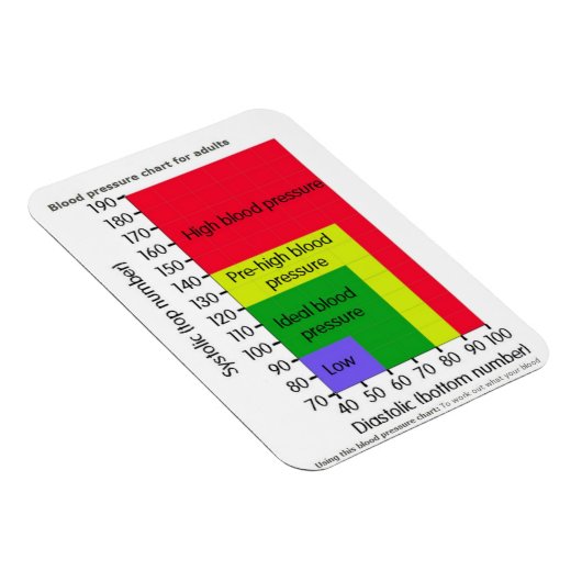 BLOEDDRUK CHART MAGNET MAGNEET (Rechterzijde)