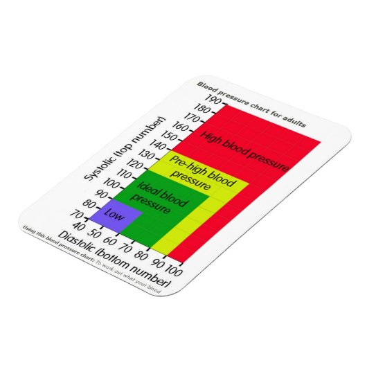 BLOEDDRUK CHART MAGNET MAGNEET (Linkerzijde)
