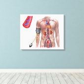Bloeddruk en bloedsomloop canvas afdruk (Insitu (Houten vloer))